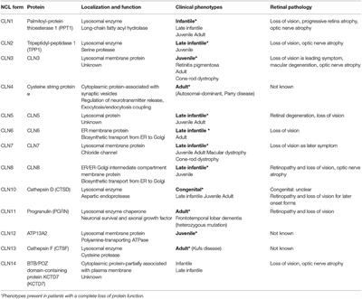 Experimental Therapeutic Approaches for the Treatment of Retinal Pathology in Neuronal Ceroid Lipofuscinoses